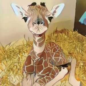 Meet your Posher, Eileen